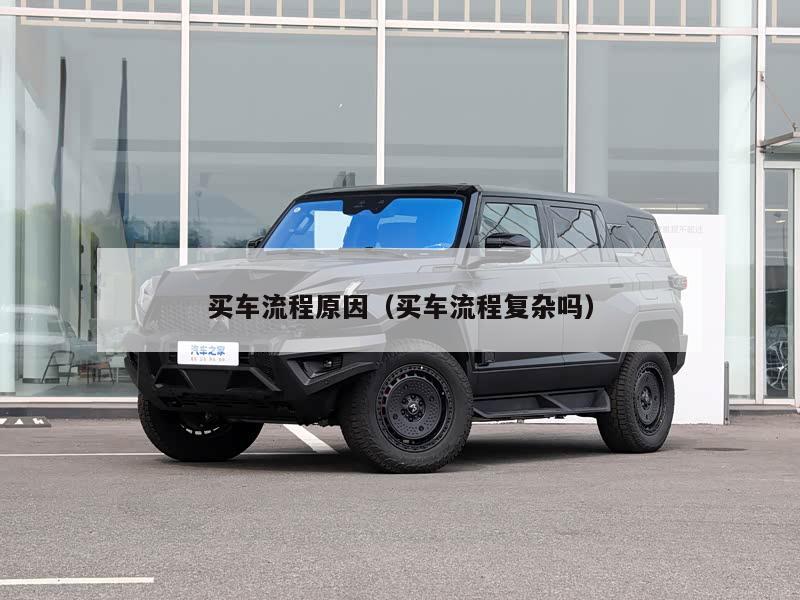 买车流程原因（买车流程复杂吗）