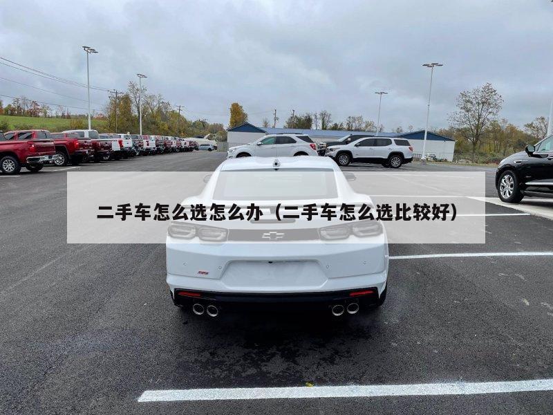 二手车怎么选怎么办（二手车怎么选比较好）