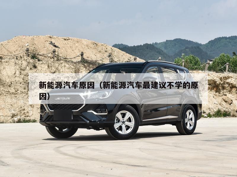 新能源汽车原因（新能源汽车最建议不学的原因）