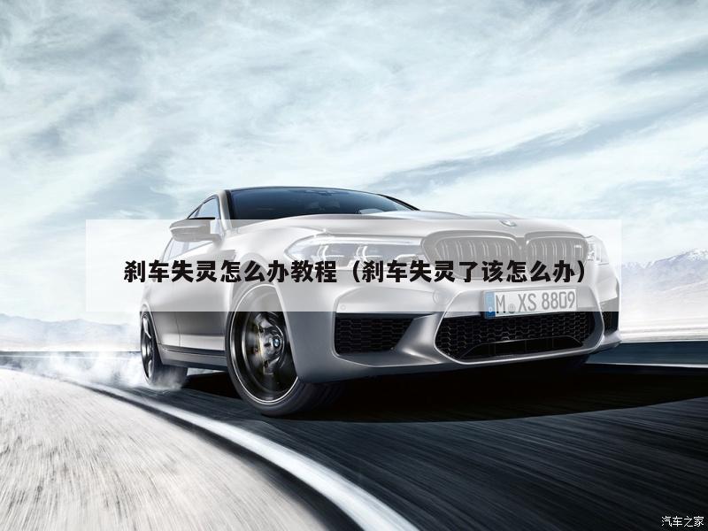 刹车失灵怎么办教程（刹车失灵了该怎么办）