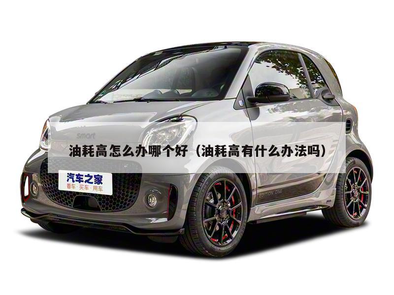 油耗高怎么办哪个好（油耗高有什么办法吗）