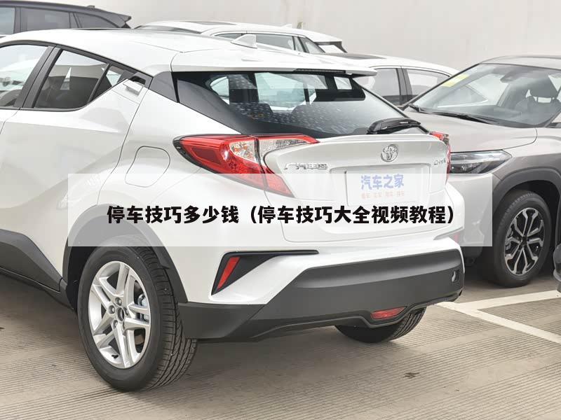 停车技巧多少钱（停车技巧大全视频教程）