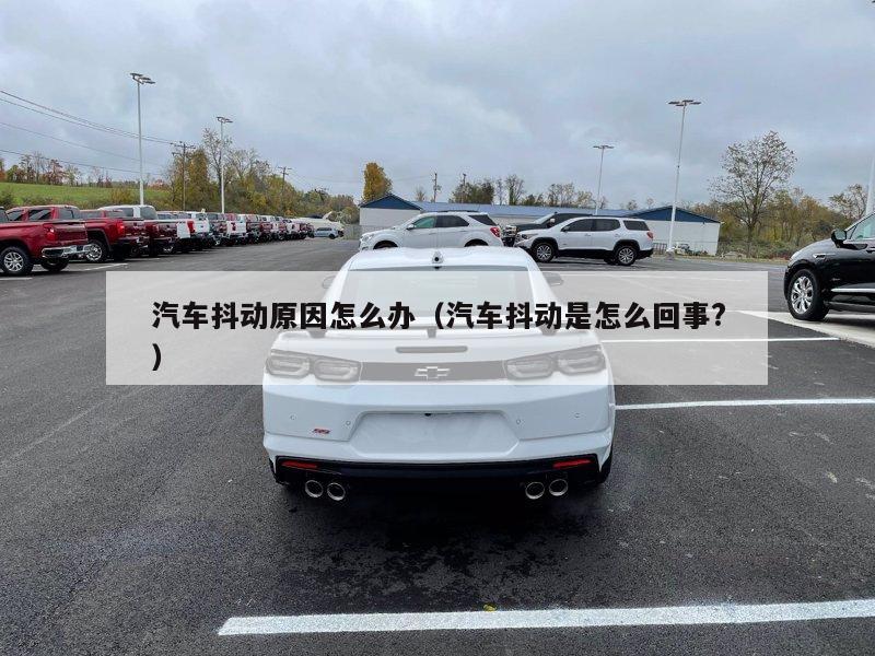 汽车抖动原因怎么办（汽车抖动是怎么回事?）