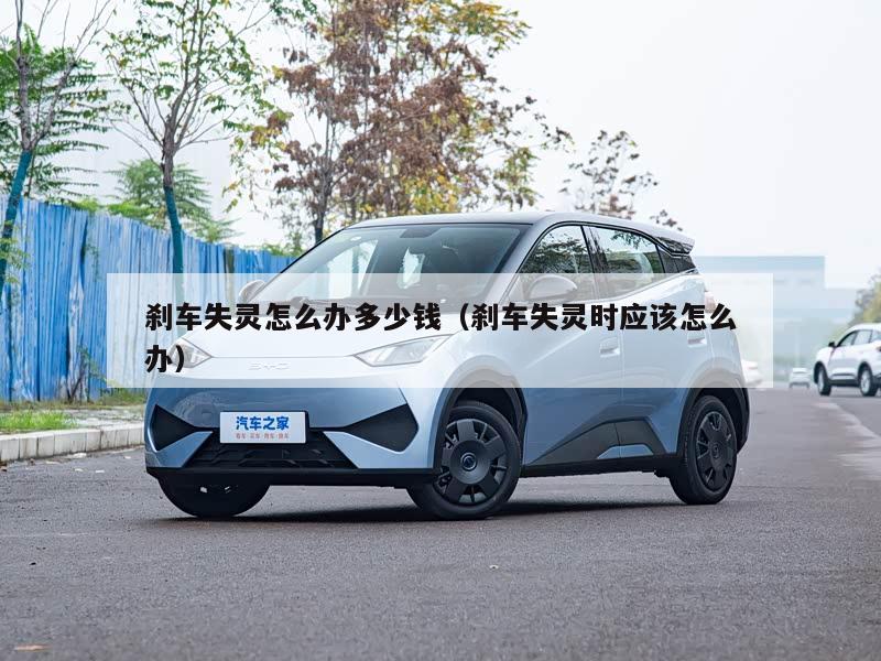 刹车失灵怎么办多少钱（刹车失灵时应该怎么办）