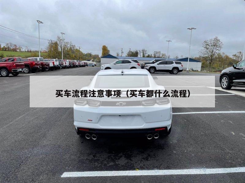 买车流程注意事项（买车都什么流程）