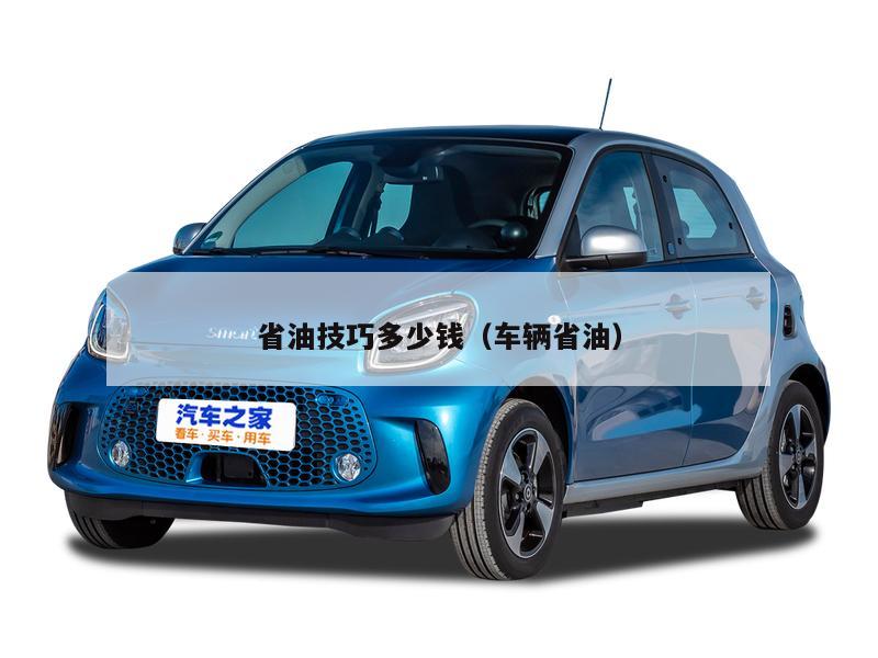 省油技巧多少钱(车辆省油)