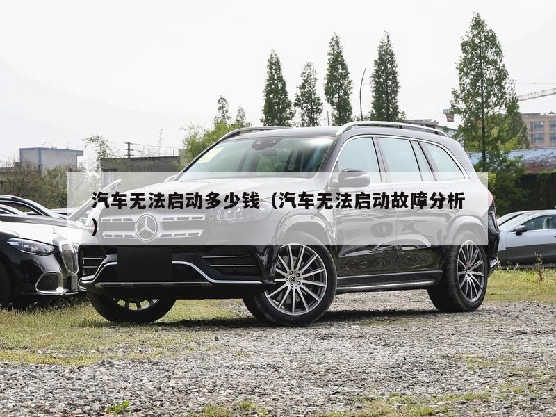 汽车无法启动多少钱（汽车无法启动故障分析）