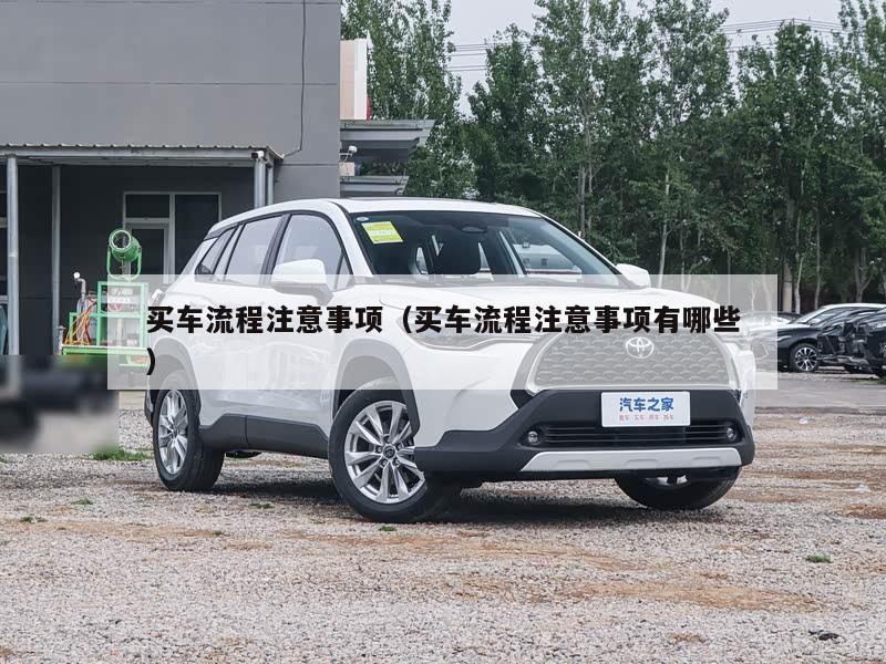 买车流程注意事项（买车流程注意事项有哪些）