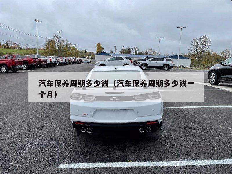 汽车保养周期多少钱（汽车保养周期多少钱一个月）