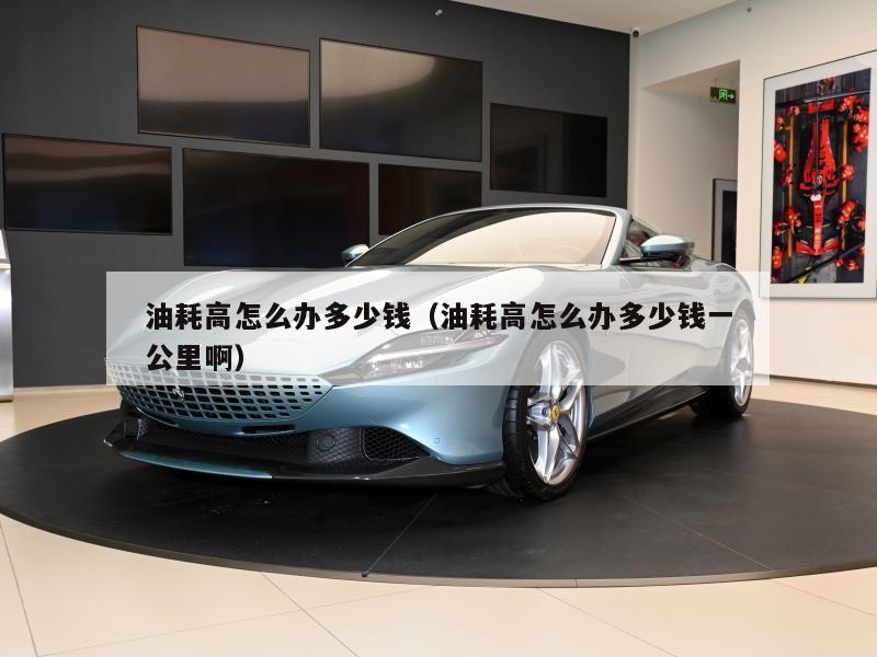 油耗高怎么办多少钱（油耗高怎么办多少钱一公里啊）