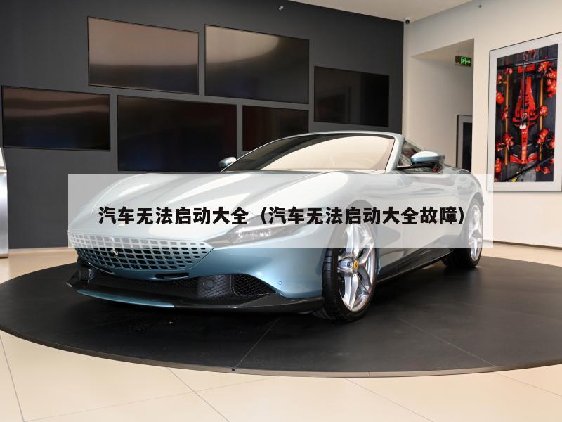 汽车无法启动大全（汽车无法启动大全故障）