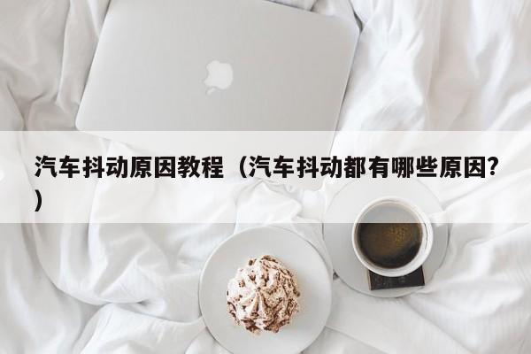 汽车抖动原因教程（汽车抖动都有哪些原因?）