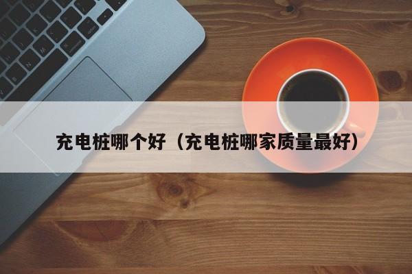 充电桩哪个好(充电桩哪家质量最好)