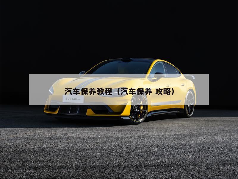汽车保养教程（汽车保养 攻略）