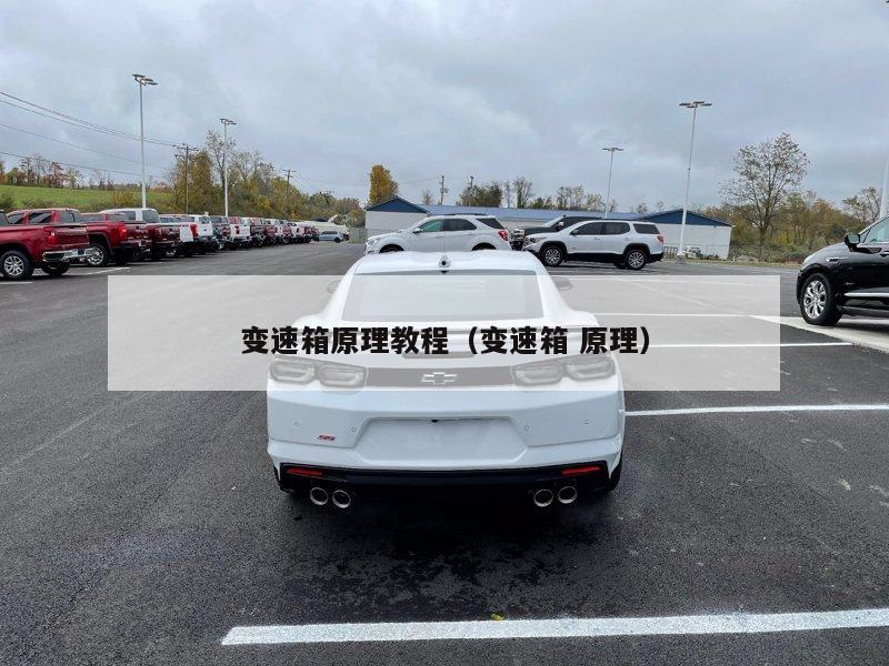 变速箱原理教程（变速箱 原理）