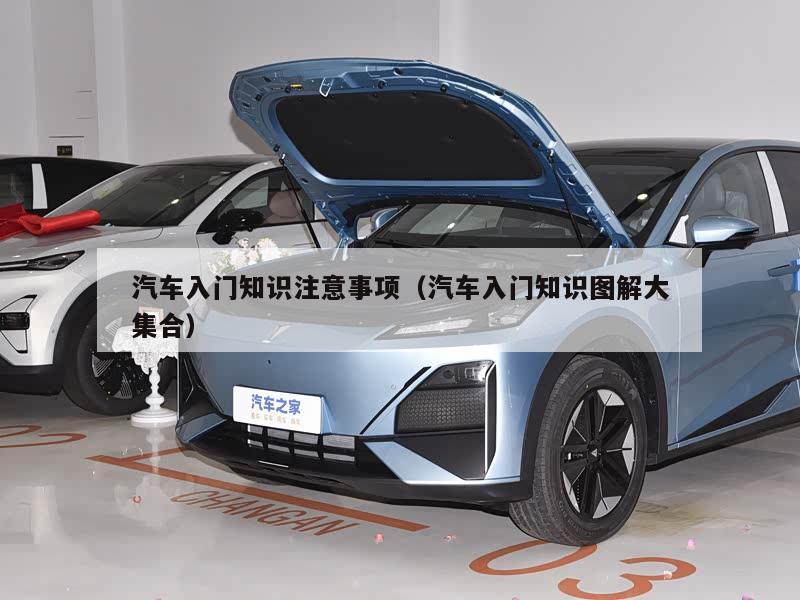 汽车入门知识注意事项（汽车入门知识图解大集合）