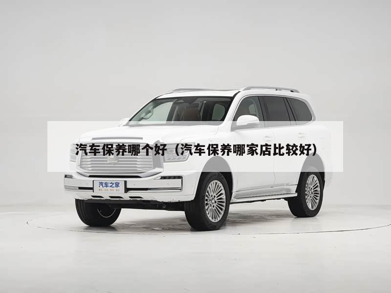 汽车保养哪个好（汽车保养哪家店比较好）