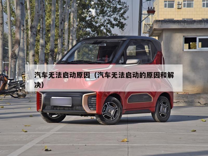 汽车无法启动原因（汽车无法启动的原因和解决）