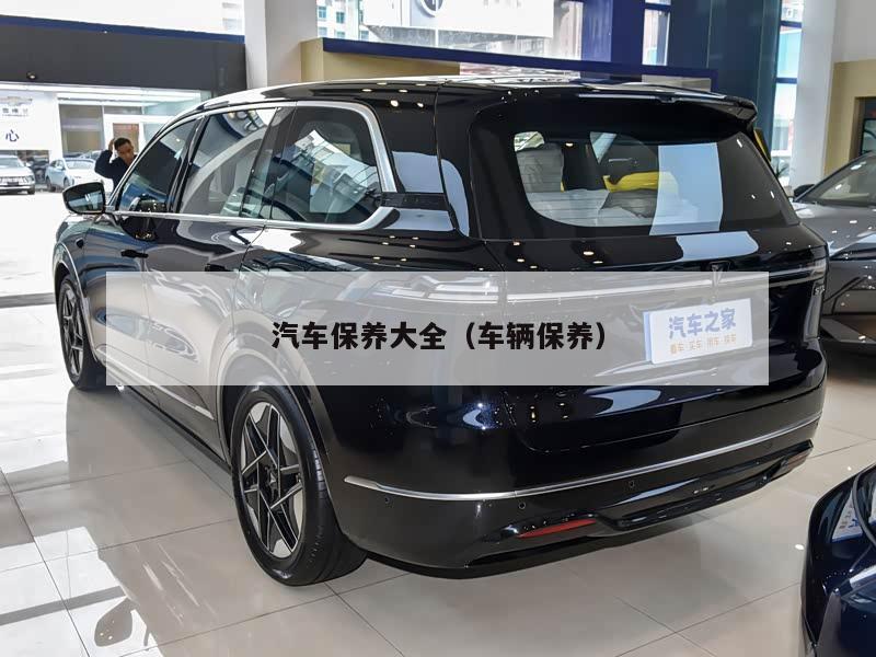 汽车保养大全(车辆保养)