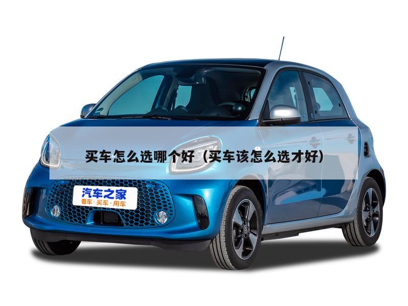 买车怎么选哪个好（买车该怎么选才好）