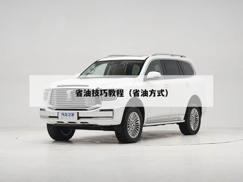 省油技巧教程(省油方式)