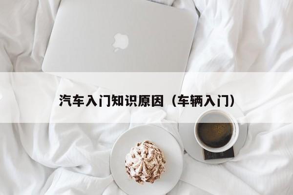 汽车入门知识原因（车辆入门）