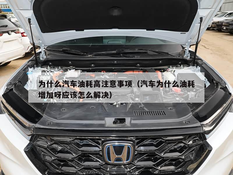 为什么汽车油耗高注意事项（汽车为什么油耗增加呀应该怎么解决）