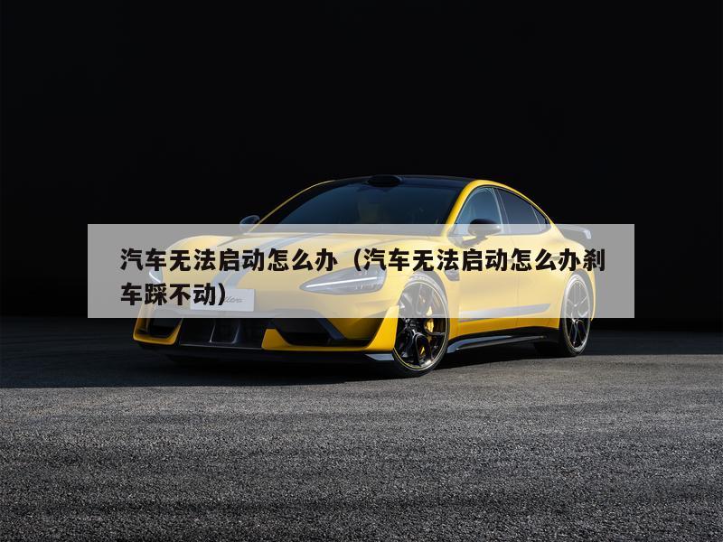 汽车无法启动怎么办（汽车无法启动怎么办刹车踩不动）