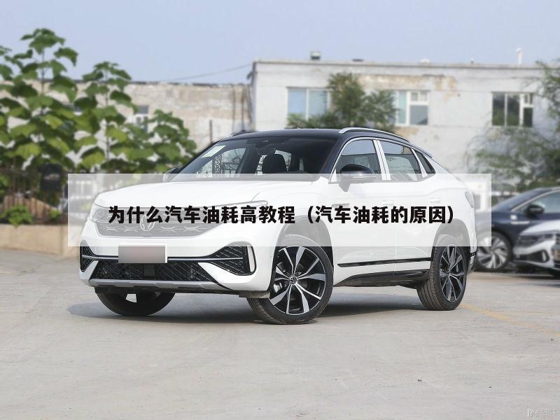 为什么汽车油耗高教程（汽车油耗的原因）