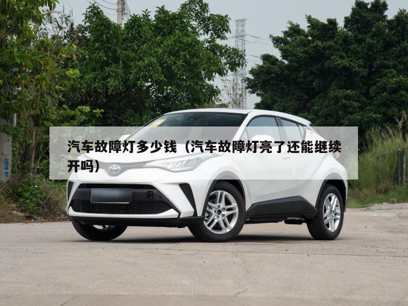 汽车故障灯多少钱（汽车故障灯亮了还能继续开吗）