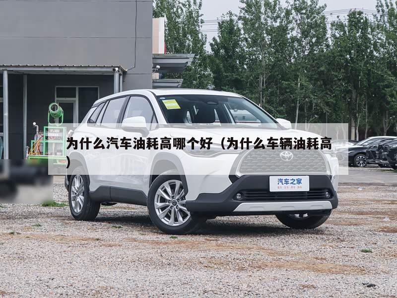 为什么汽车油耗高哪个好（为什么车辆油耗高）