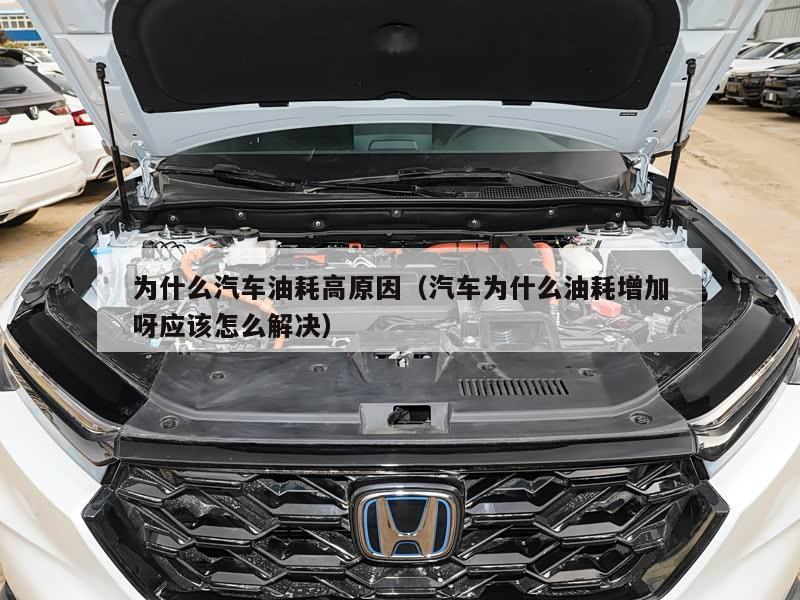 为什么汽车油耗高原因（汽车为什么油耗增加呀应该怎么解决）