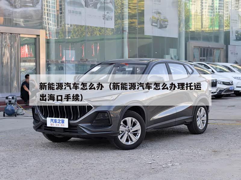 新能源汽车怎么办（新能源汽车怎么办理托运出海口手续）
