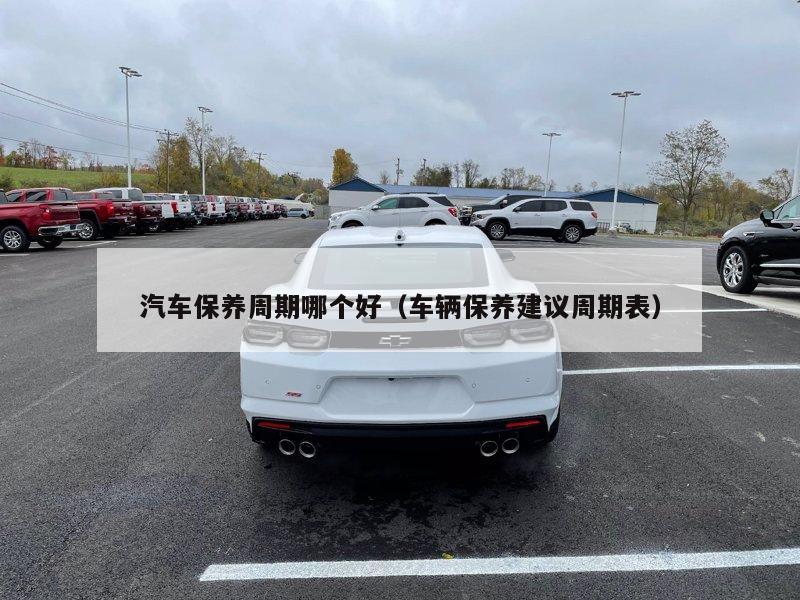 汽车保养周期哪个好（车辆保养建议周期表）