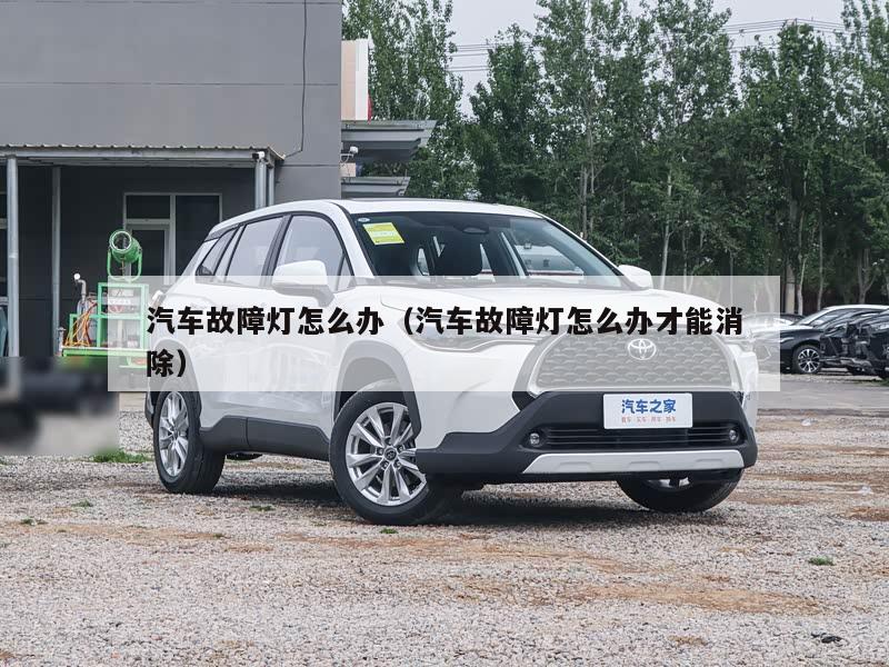 汽车故障灯怎么办（汽车故障灯怎么办才能消除）