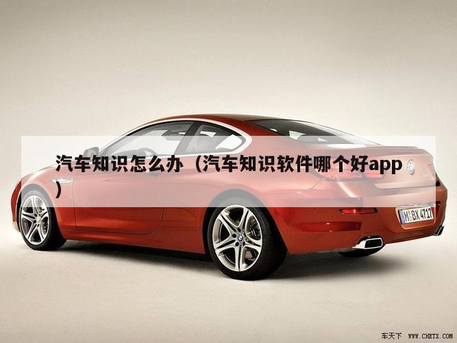 汽车知识怎么办（汽车知识软件哪个好app）
