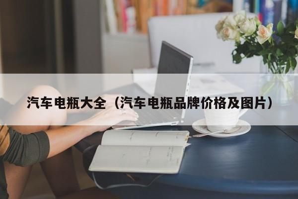 汽车电瓶大全（汽车电瓶品牌价格及图片）