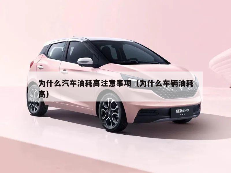 为什么汽车油耗高注意事项（为什么车辆油耗高）