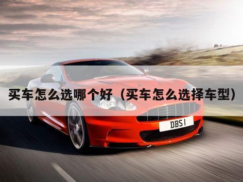 买车怎么选哪个好（买车怎么选择车型）
