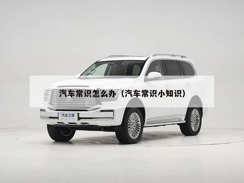 汽车常识怎么办（汽车常识小知识）