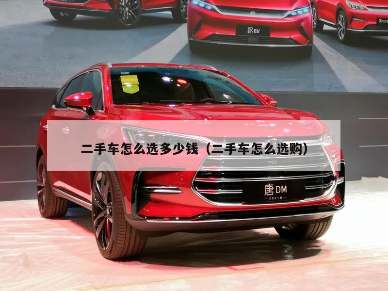 二手车怎么选多少钱（二手车怎么选购）