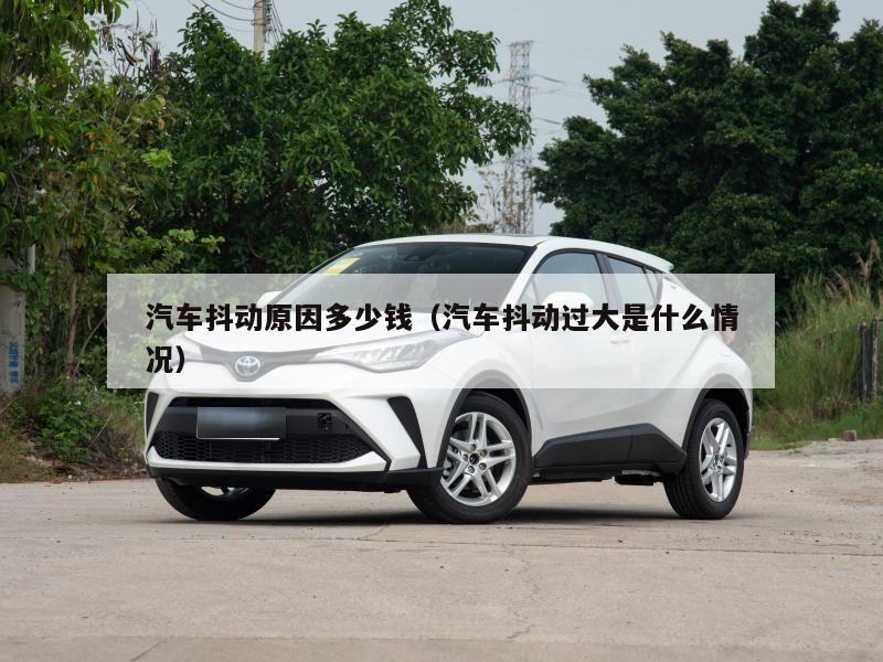 汽车抖动原因多少钱（汽车抖动过大是什么情况）