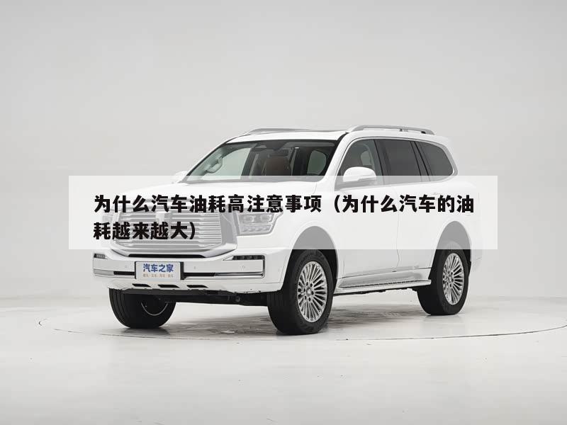 为什么汽车油耗高注意事项（为什么汽车的油耗越来越大）
