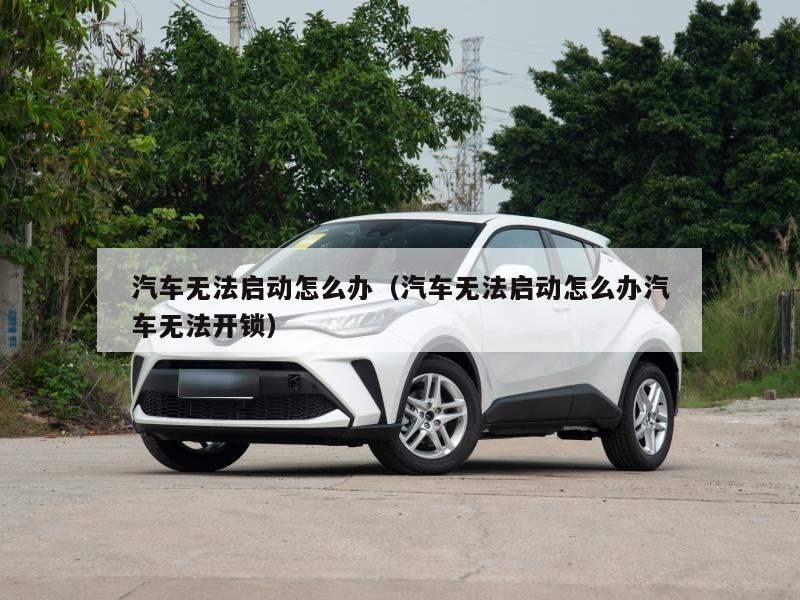 汽车无法启动怎么办（汽车无法启动怎么办汽车无法开锁）