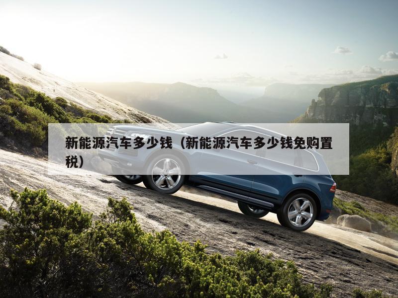 新能源汽车多少钱(新能源汽车多少钱免购置税)