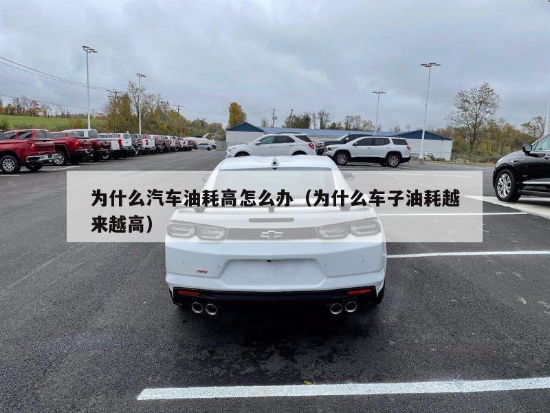 为什么汽车油耗高怎么办（为什么车子油耗越来越高）