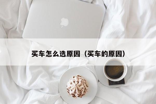 买车怎么选原因（买车的原因）