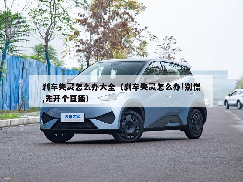 刹车失灵怎么办大全(刹车失灵怎么办!别慌,先开个直播)