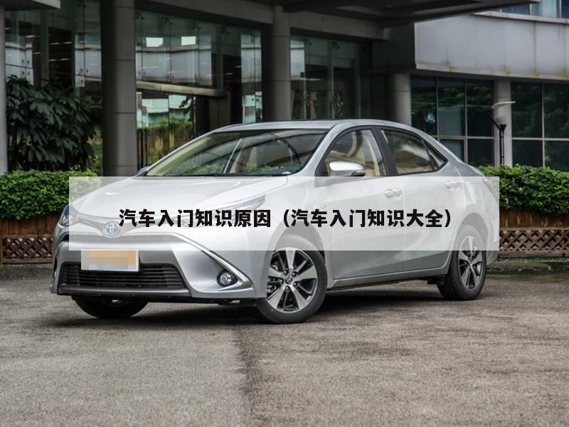 汽车入门知识原因（汽车入门知识大全）